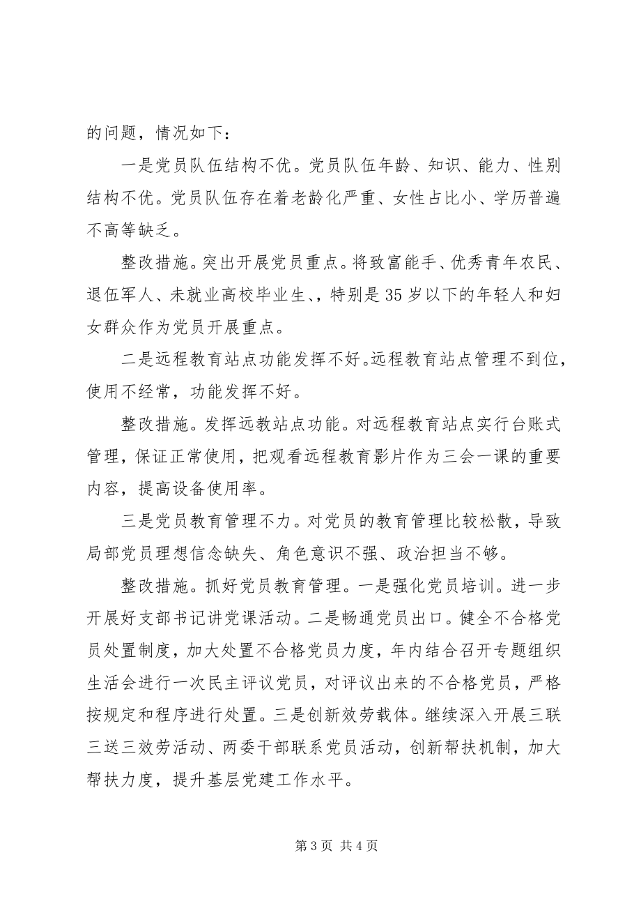 2023年基层党组织书记抓基层党建工作整改报告.docx_第3页