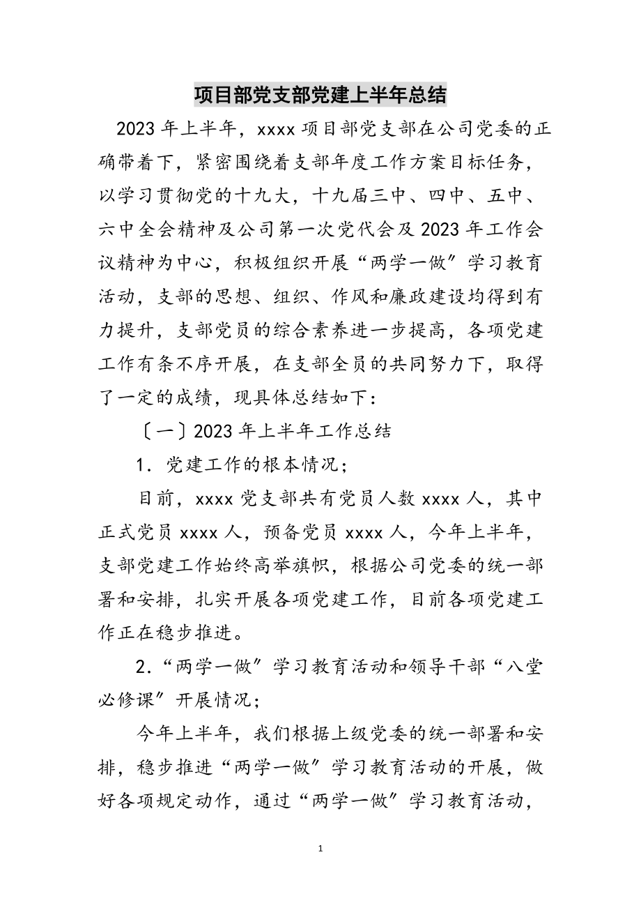 2023年项目部党支部党建上半年总结范文.doc_第1页