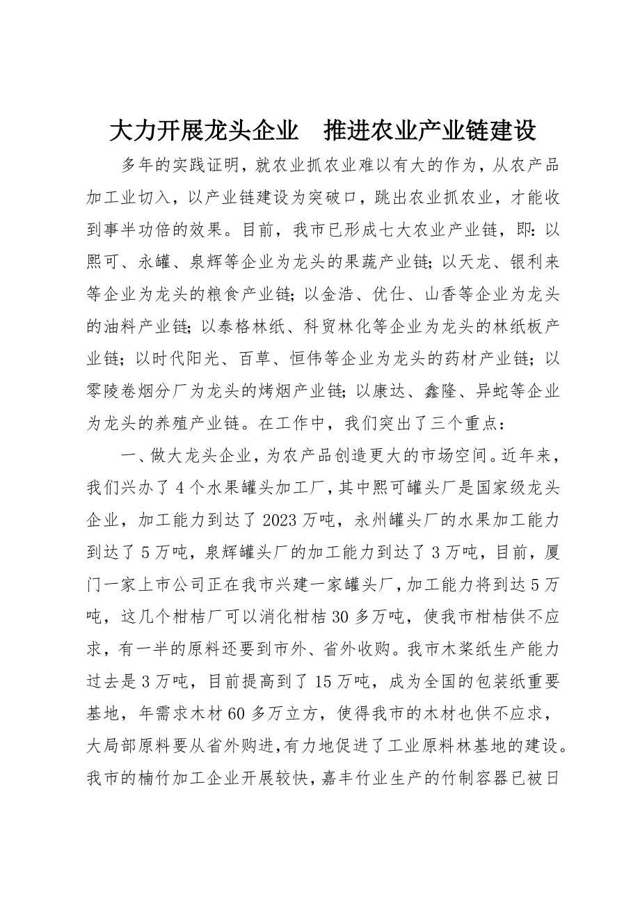 2023年大力发展龙头企业　推进农业产业链建设.docx_第1页