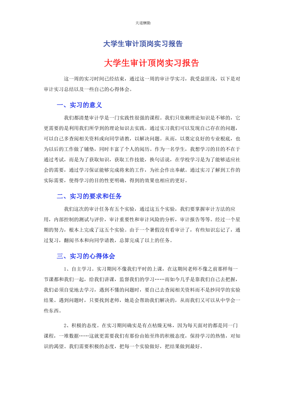 2023年大学生审计顶岗实习报告.docx_第1页