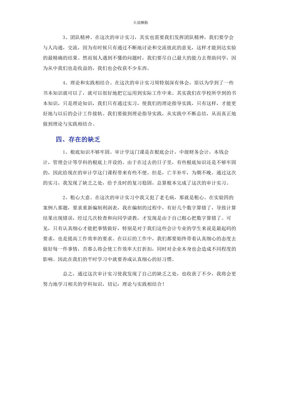 2023年大学生审计顶岗实习报告.docx_第2页