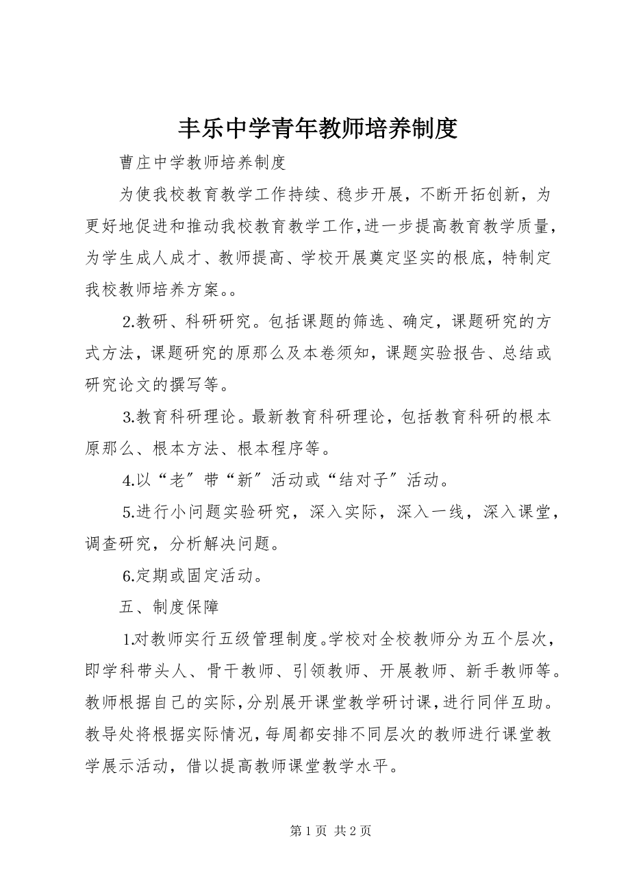 2023年丰乐中学青年教师培养制度.docx_第1页