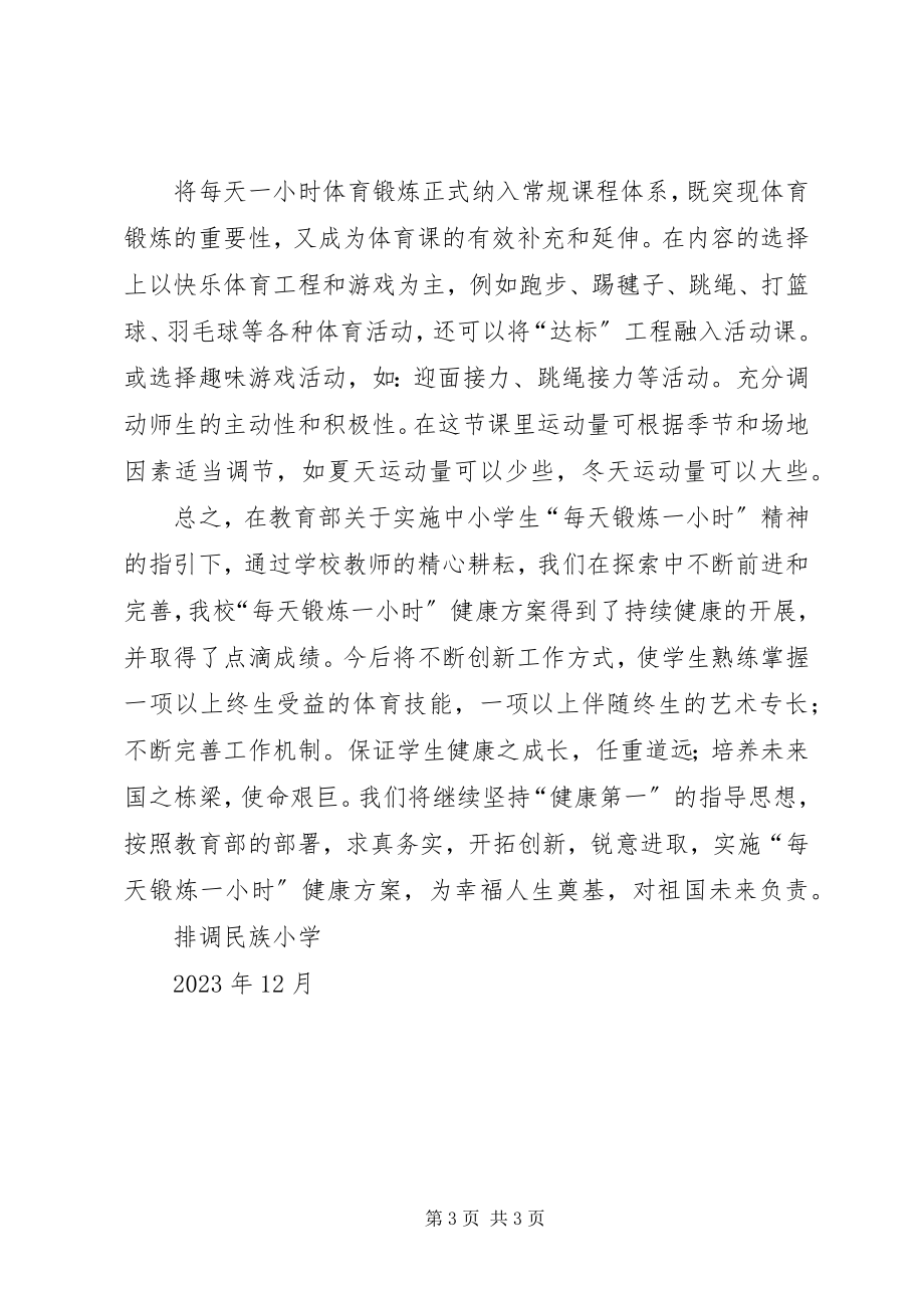 2023年排调民族小学每天锻炼一小时活动总结.docx_第3页