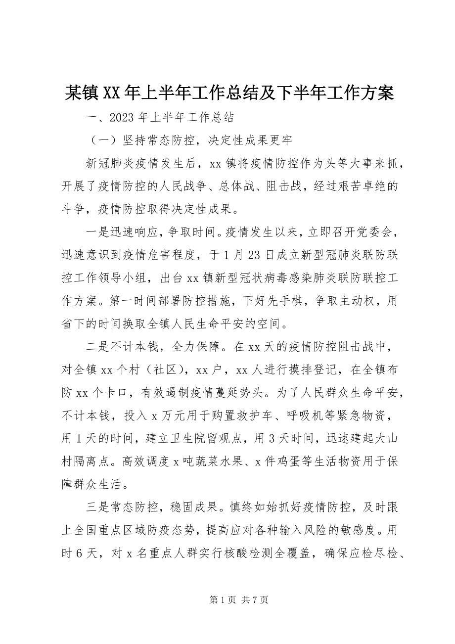 2023年xx镇上半年工作总结及下半年工作计划.docx_第1页