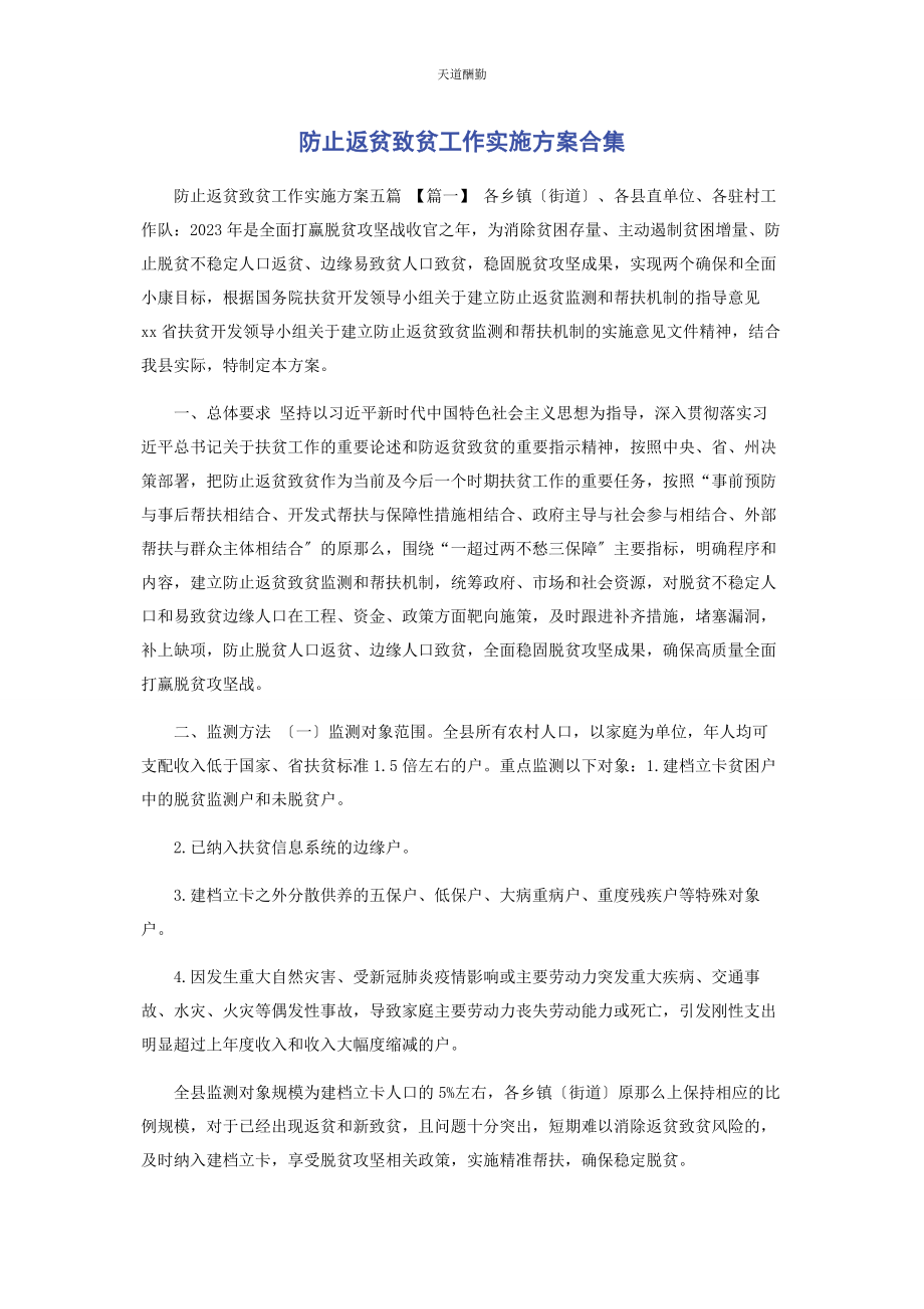 2023年防止返贫致贫工作实施方案合集范文.docx_第1页