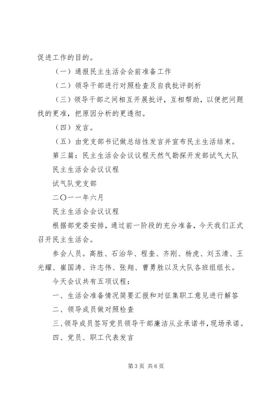 2023年民主生活会会议议程样例5.docx_第3页