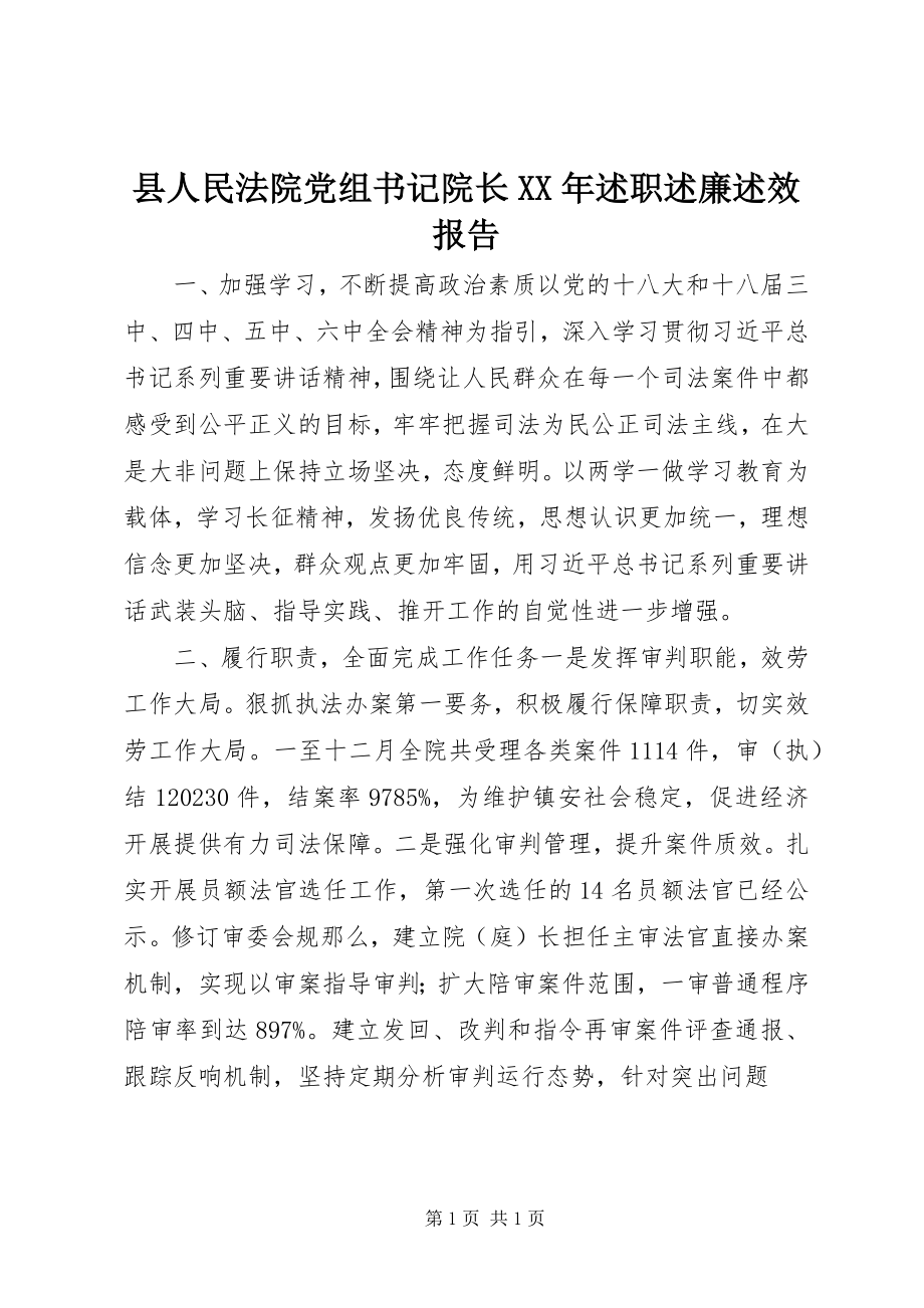 2023年县人民法院党组书记院长述职述廉述效报告.docx_第1页