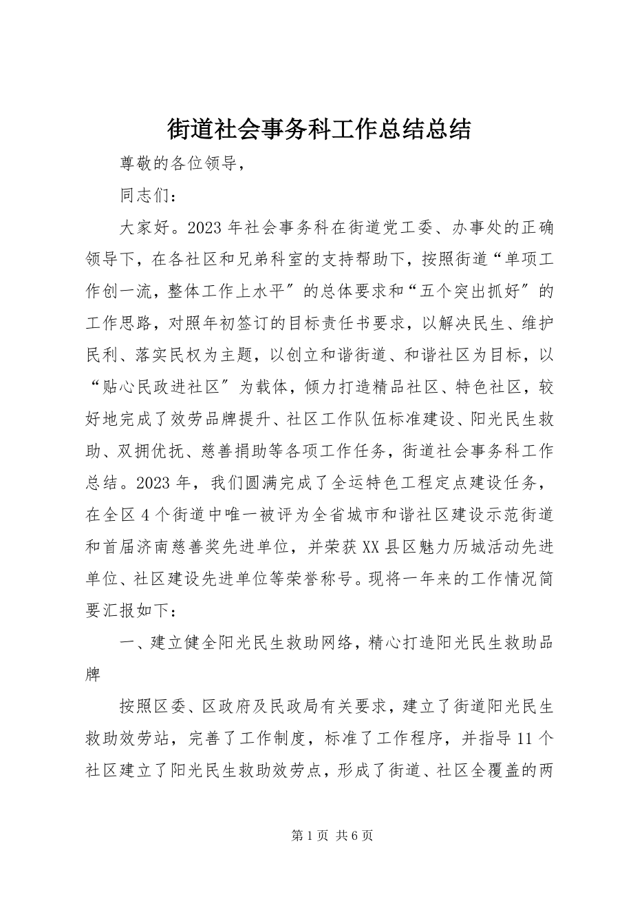 2023年街道社会事务科工作总结总结.docx_第1页