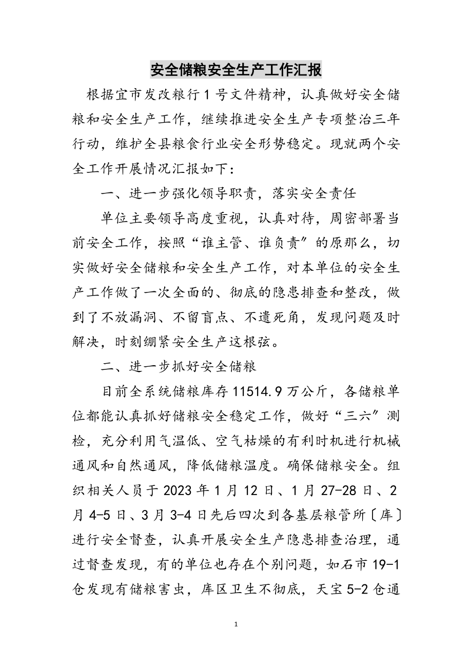 2023年安全储粮安全生产工作汇报范文.doc_第1页