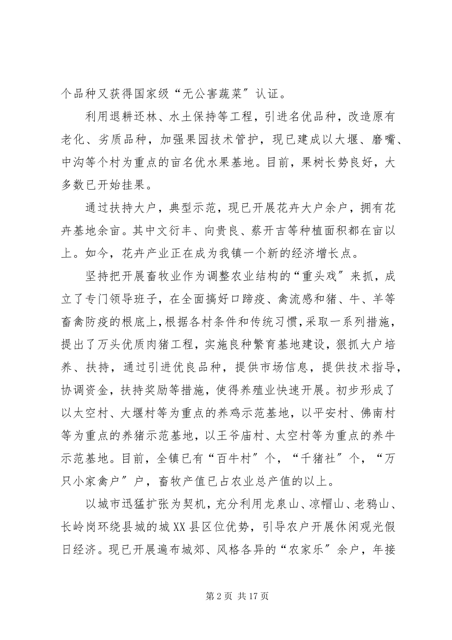 2023年镇政府工作总结.docx_第2页