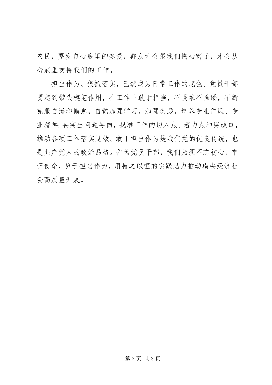 2023年乡党委委员担当作为研讨专题心得体会.docx_第3页