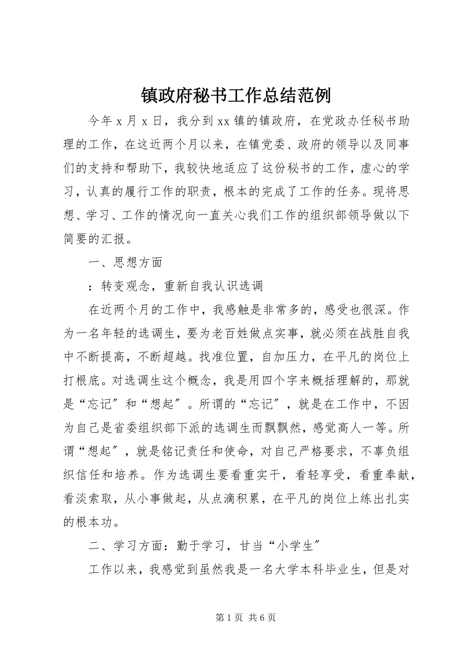 2023年镇政府秘书工作总结范例.docx_第1页