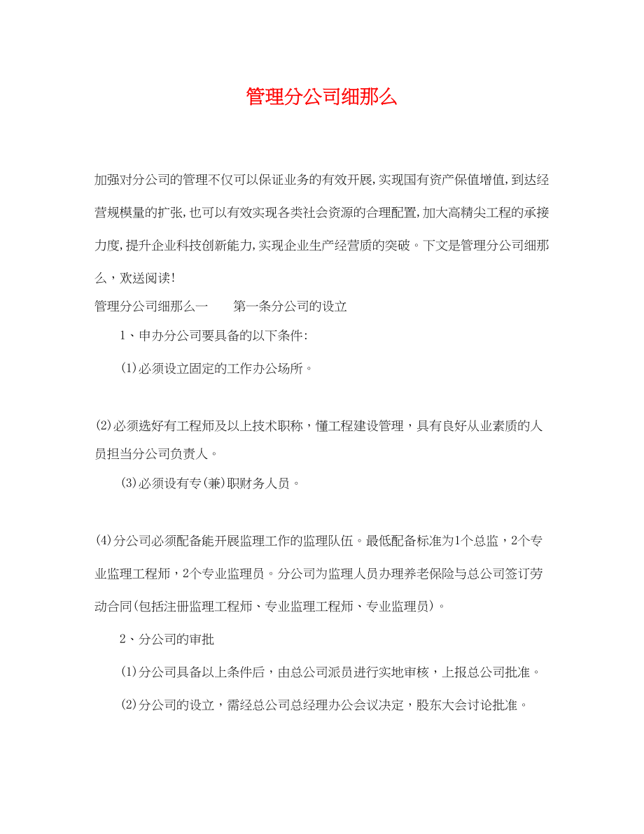 2023年管理分公司细则.docx_第1页