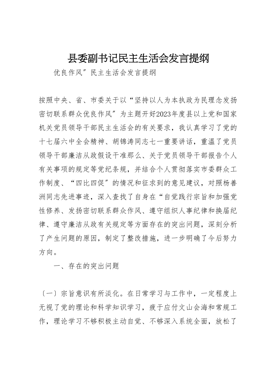 2023年县委副书记民主生活会讲话提纲.doc_第1页