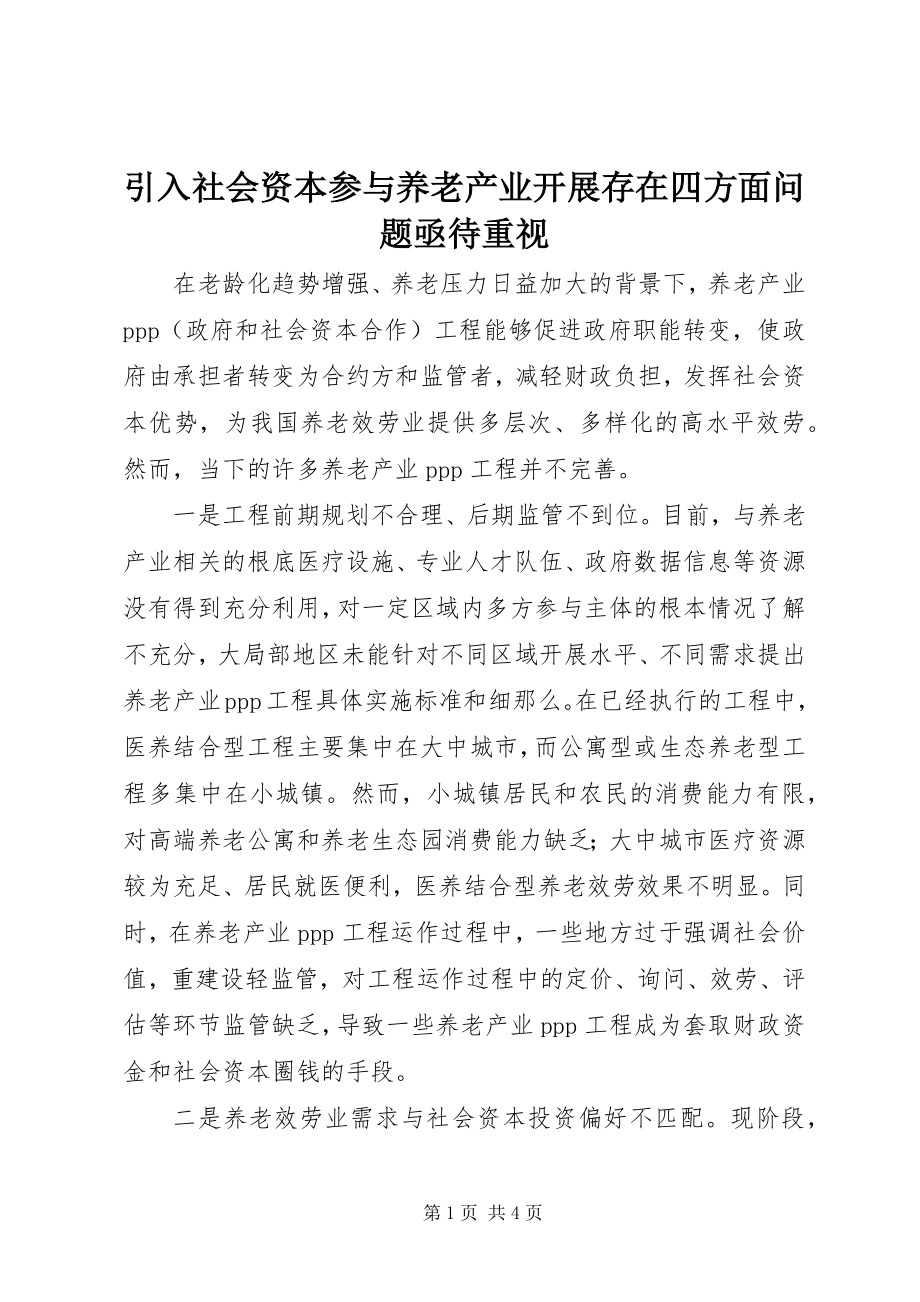 2023年引入社会资本参与养老产业发展存在四方面问题亟待重视.docx_第1页