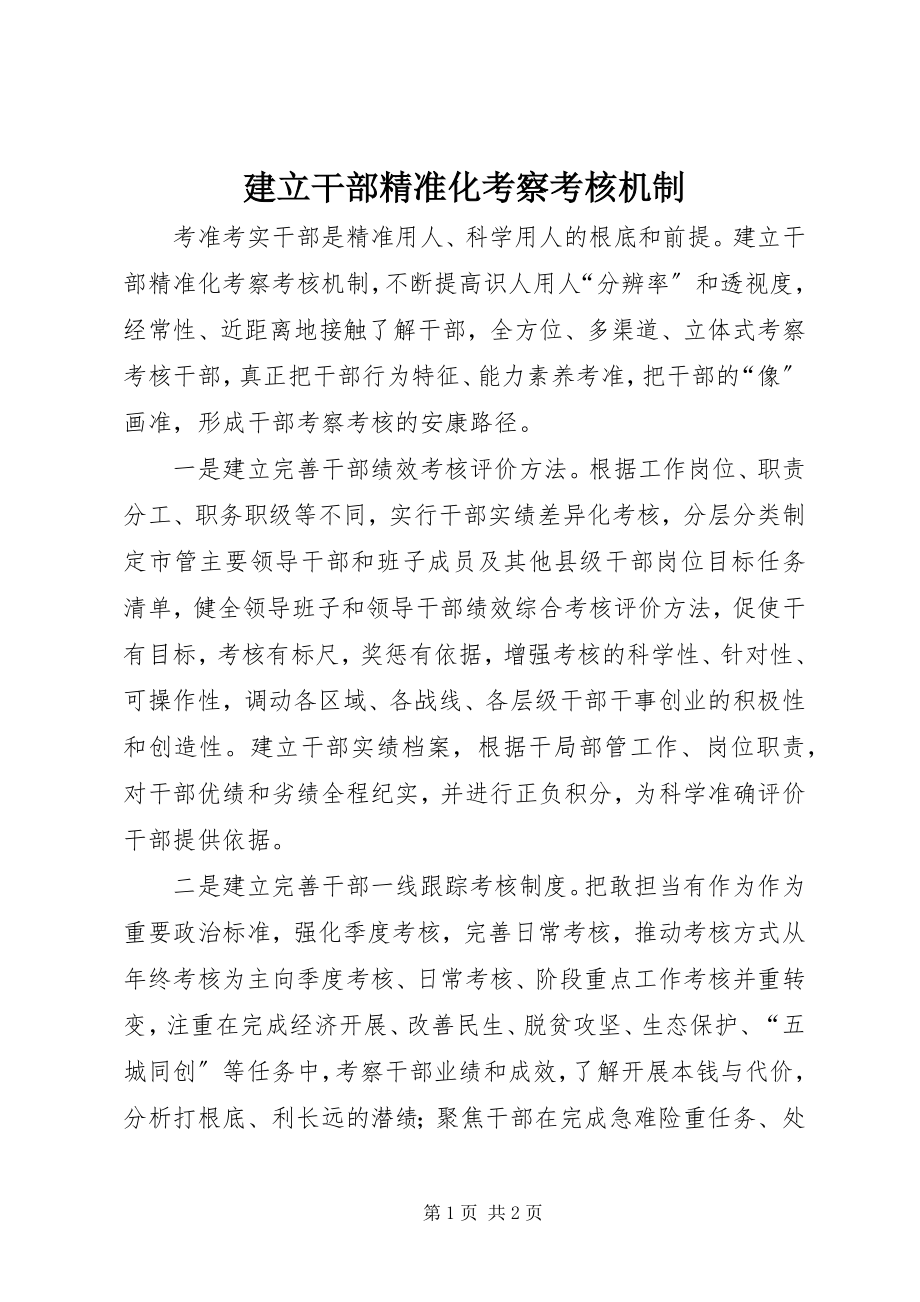 2023年建立干部精准化考察考核机制.docx_第1页