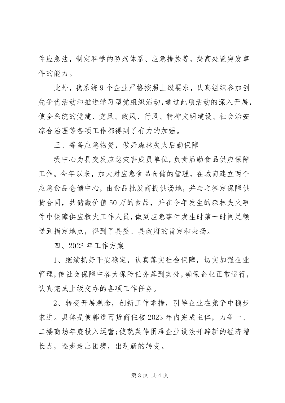 2023年乡镇商贸服务中心工作总结.docx_第3页