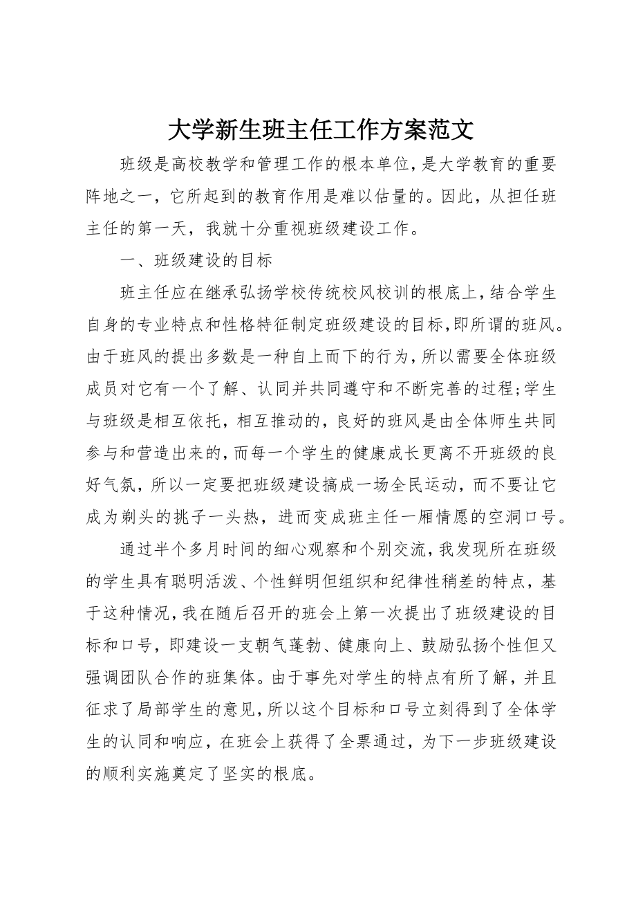 2023年大学新生班主任工作计划.docx_第1页