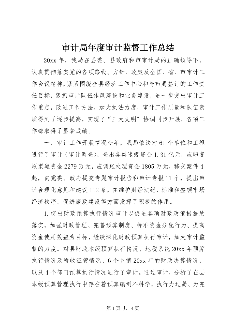 2023年审计局年度审计监督工作总结.docx_第1页