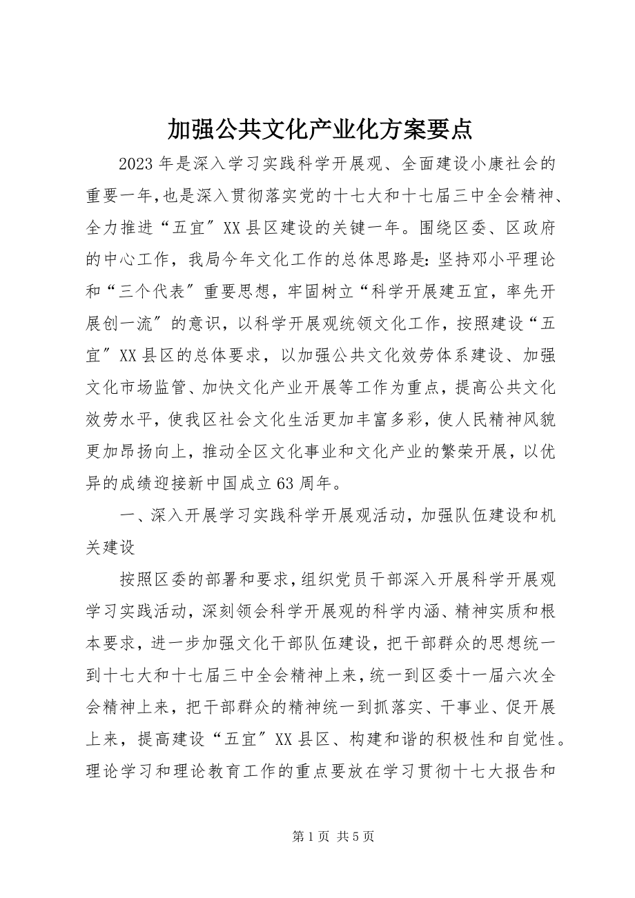 2023年加强公共文化产业化计划要点.docx_第1页