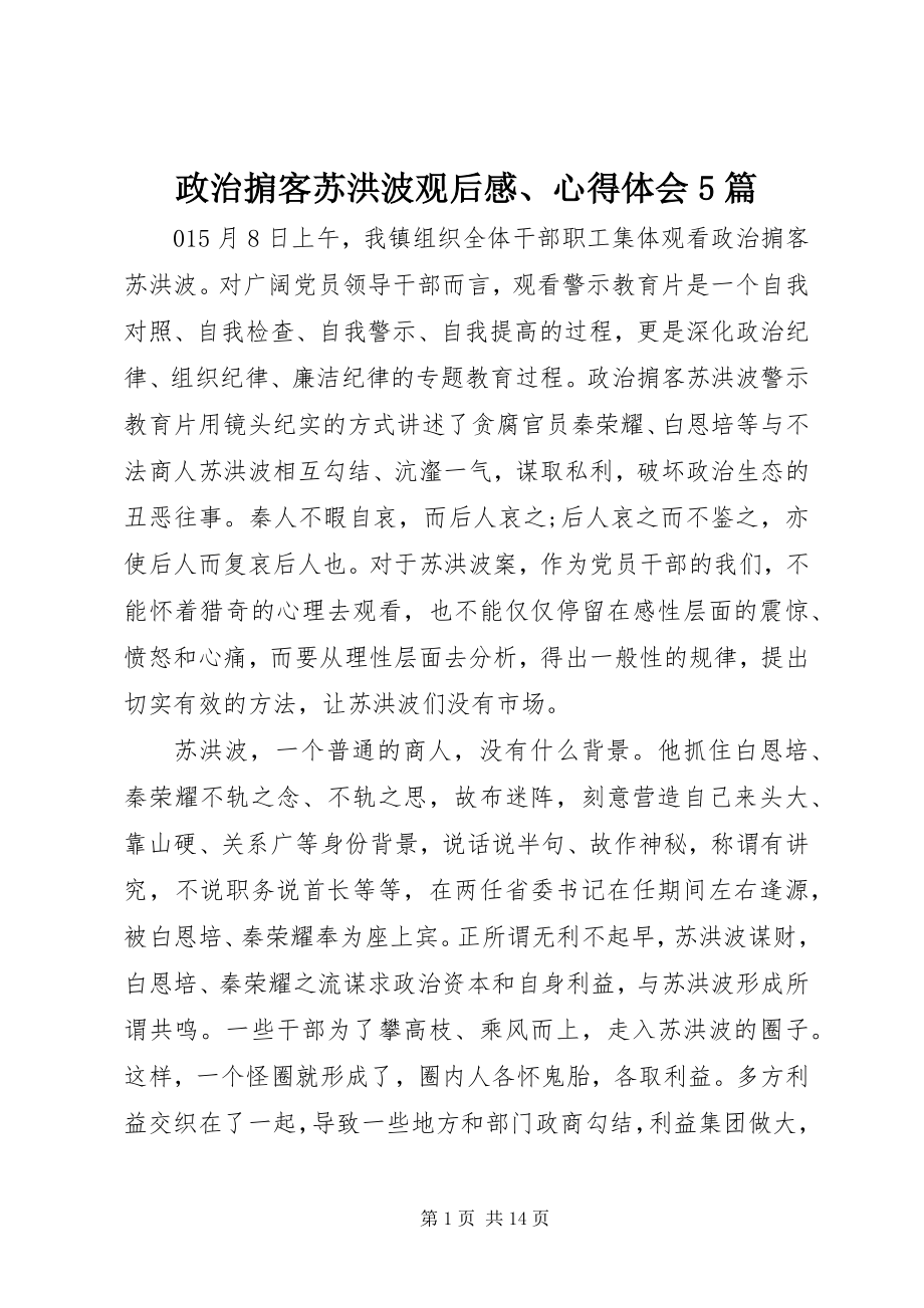 2023年《政治掮客苏洪波》观后感心得体会5篇新编.docx_第1页