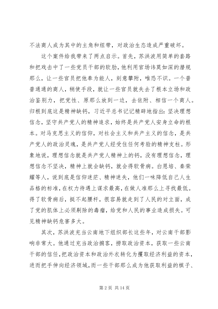 2023年《政治掮客苏洪波》观后感心得体会5篇新编.docx_第2页