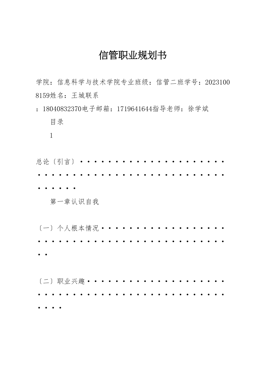 2023年信管职业规划书.doc_第1页