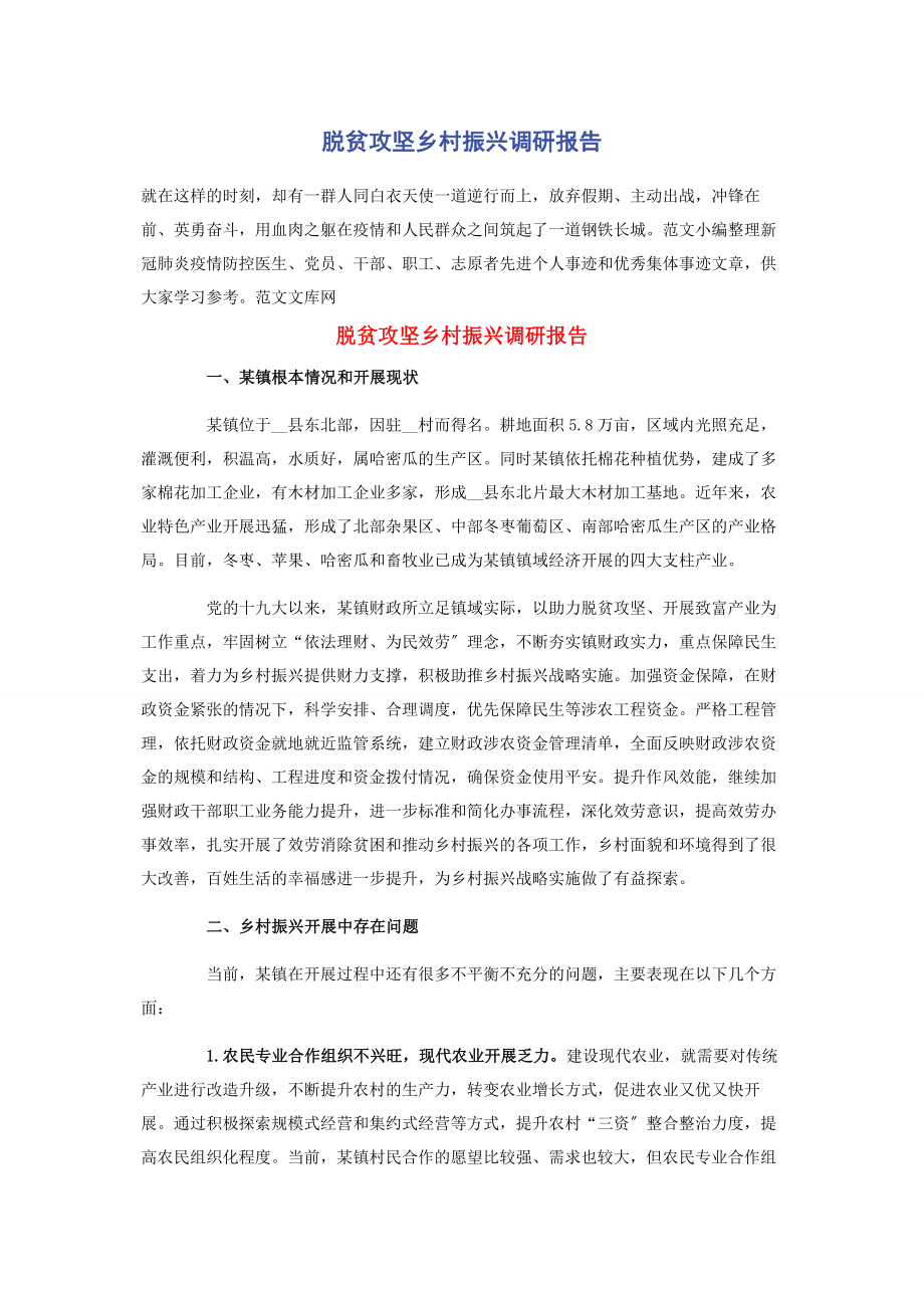 2023年脱贫攻坚乡村振兴调研报告.docx_第1页