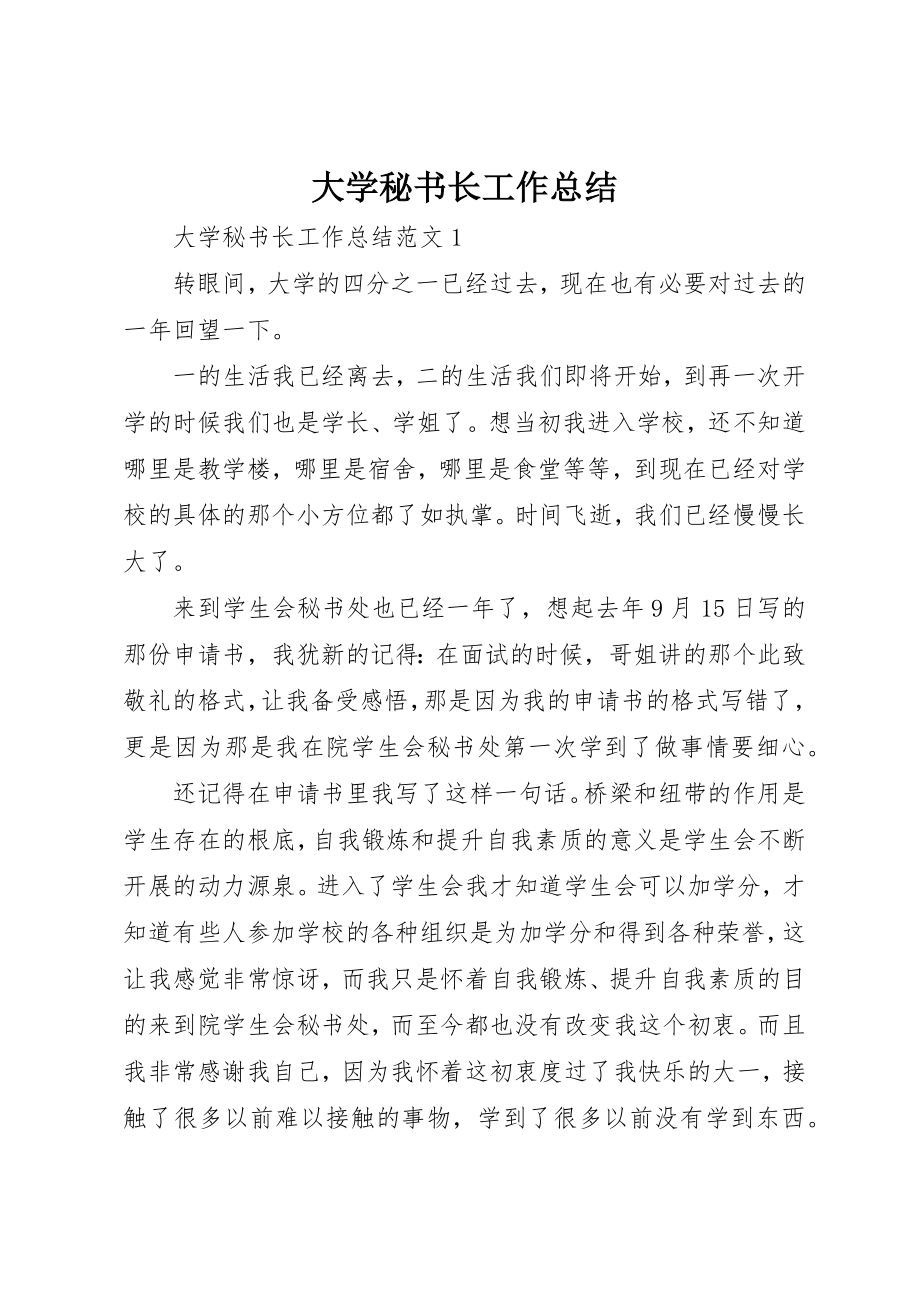 2023年大学秘书长工作总结.docx_第1页