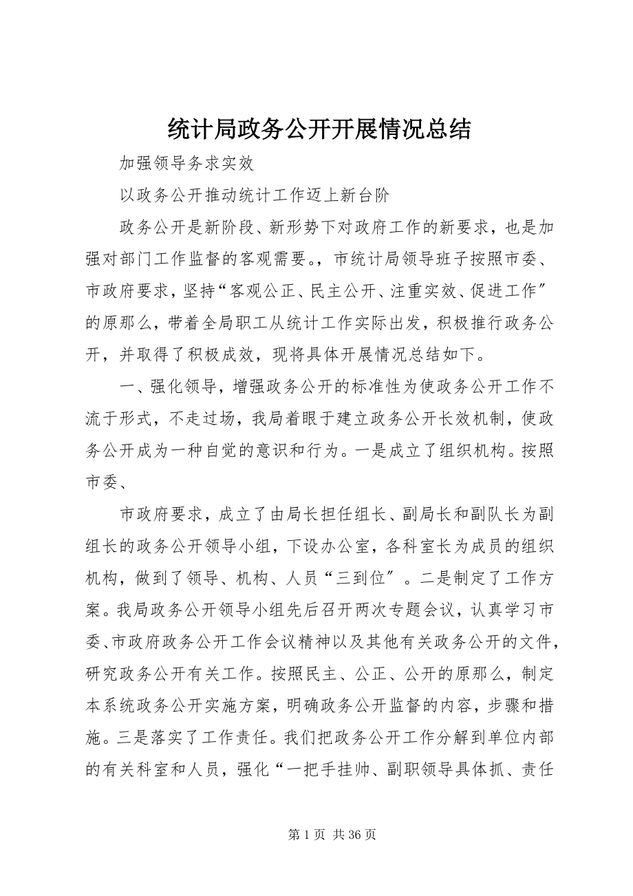 2023年统计局政务公开开展情况总结.docx_第1页