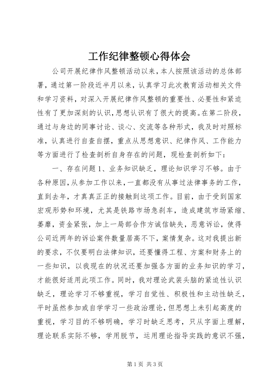 2023年工作纪律整顿心得体会.docx_第1页