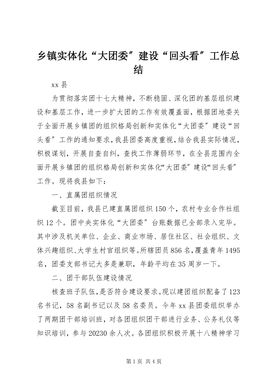 2023年乡镇实体化“大团委”建设“回头看”工作总结.docx_第1页