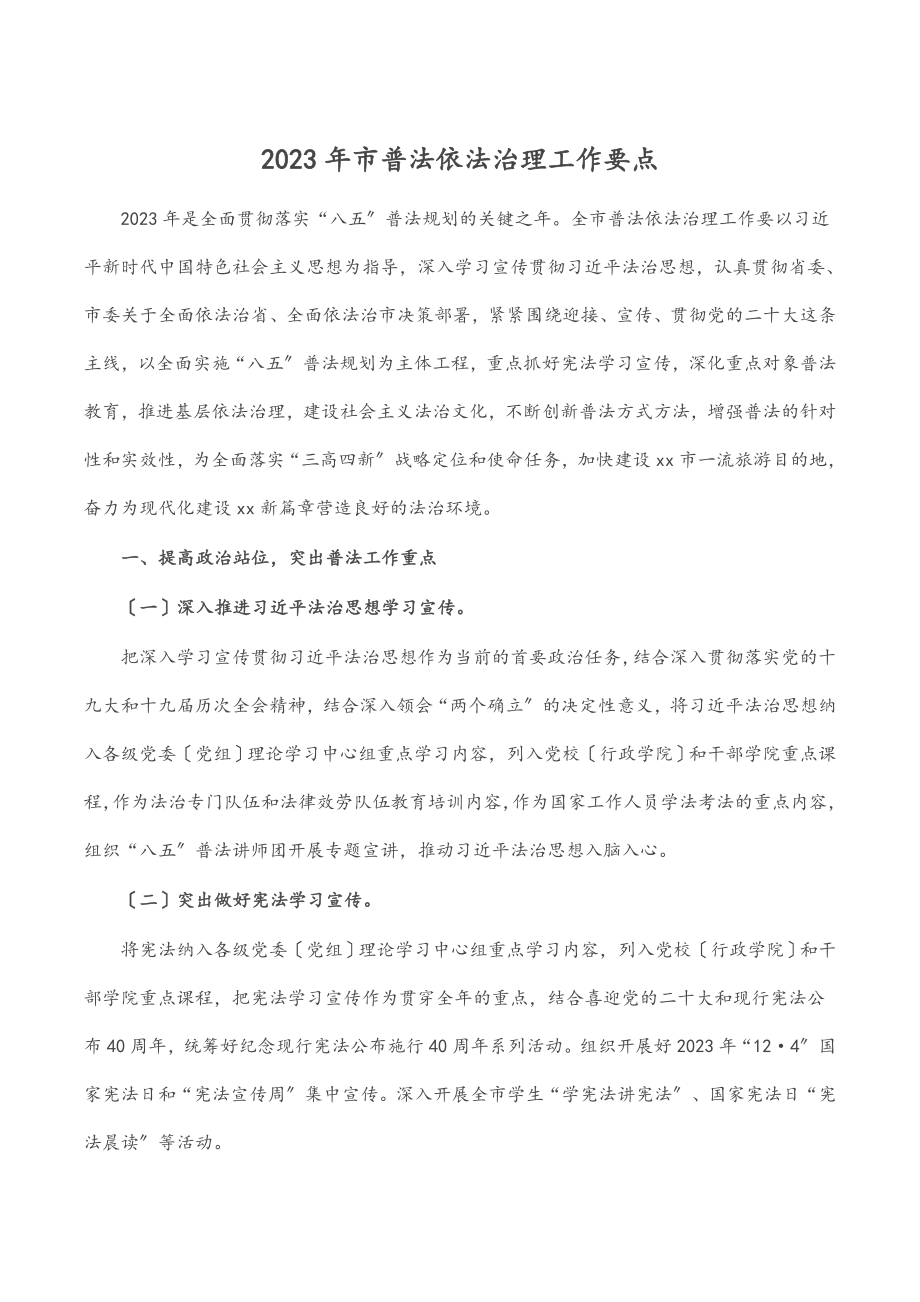 2023年市普法依法治理工作要点.docx_第1页