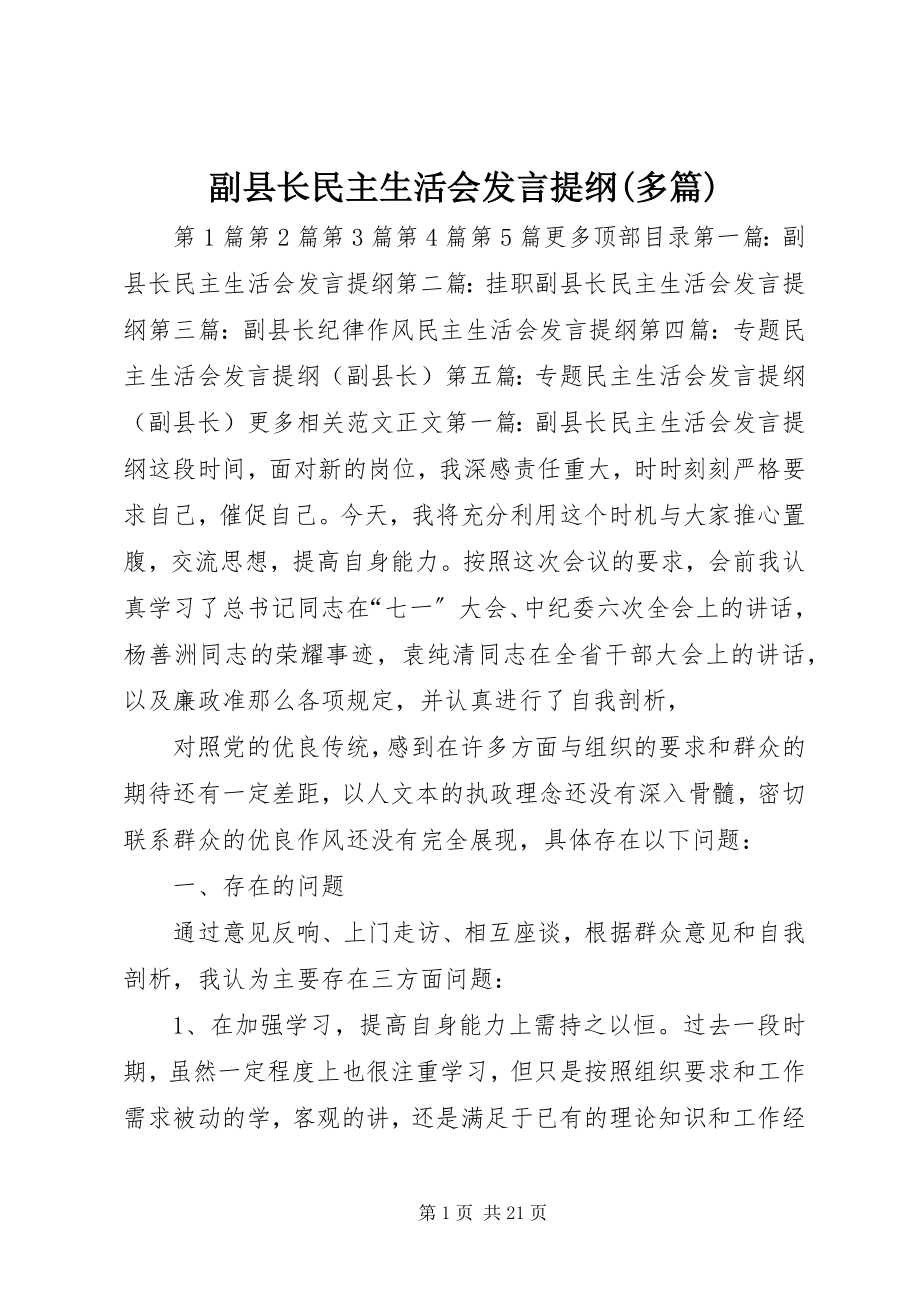 2023年副县长民主生活会讲话提纲精选多篇.docx_第1页