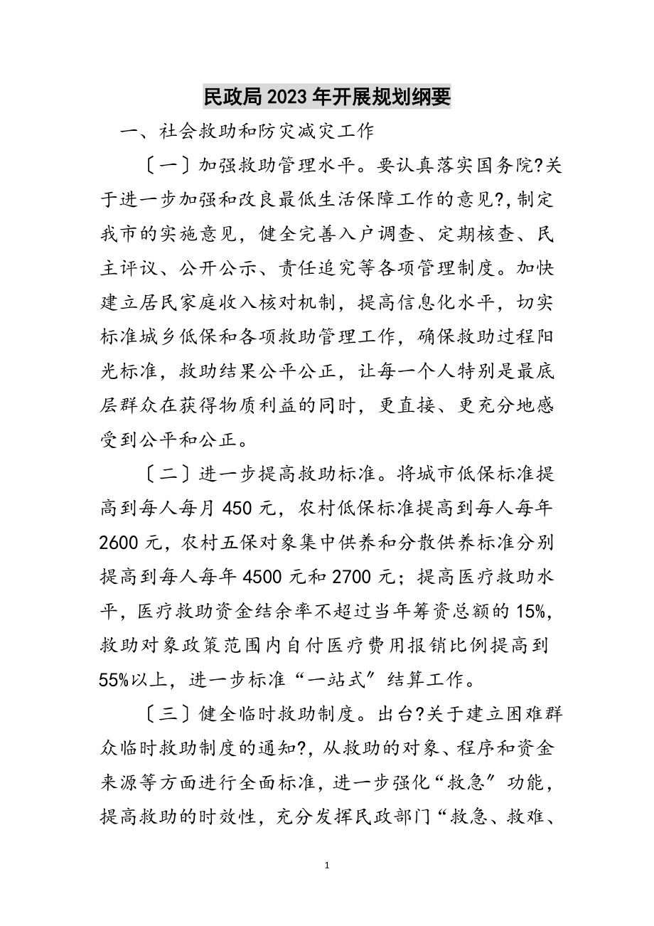 2023年民政局年发展规划纲要范文.doc_第1页