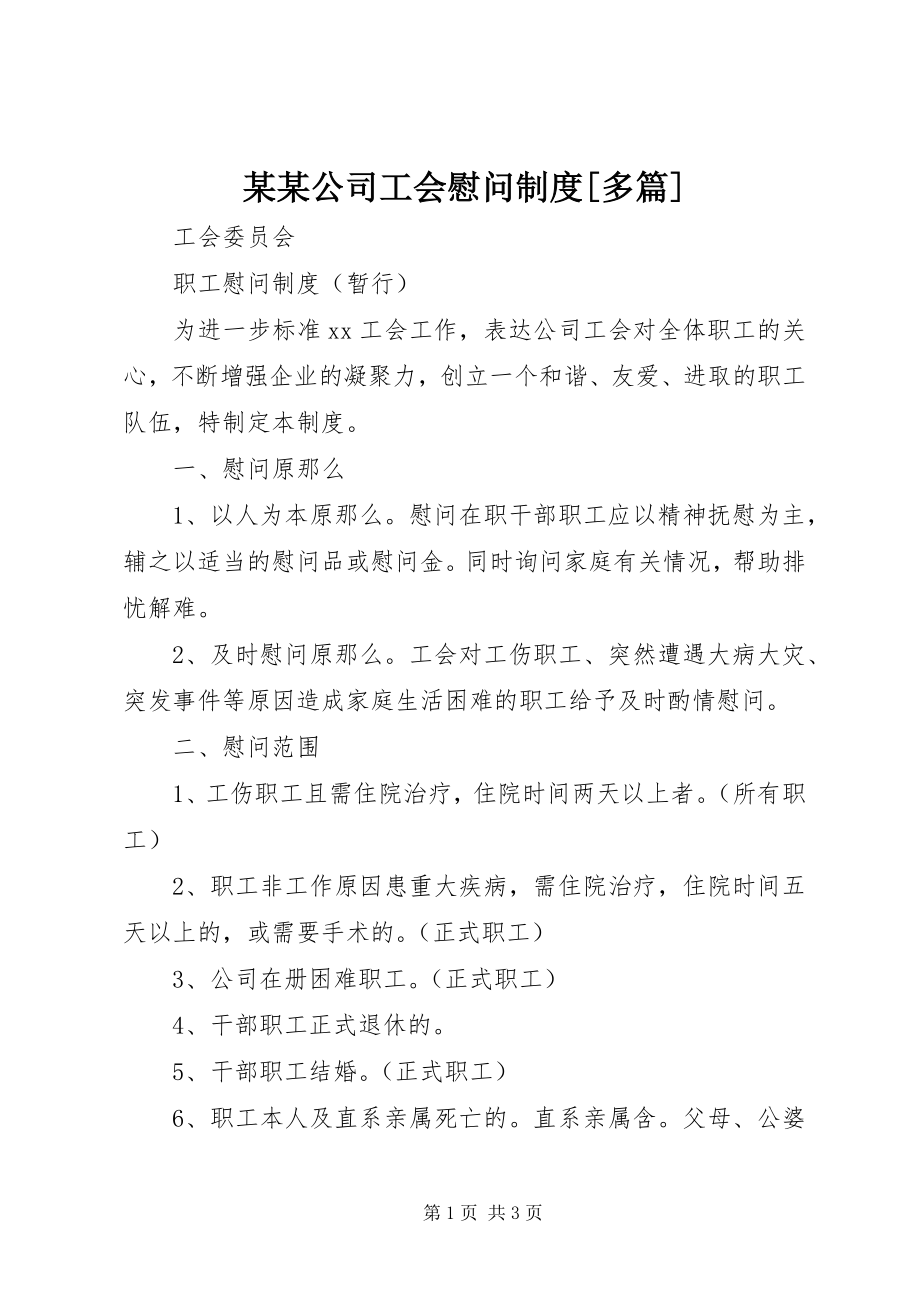 2023年某某公司工会慰问制度多篇.docx_第1页