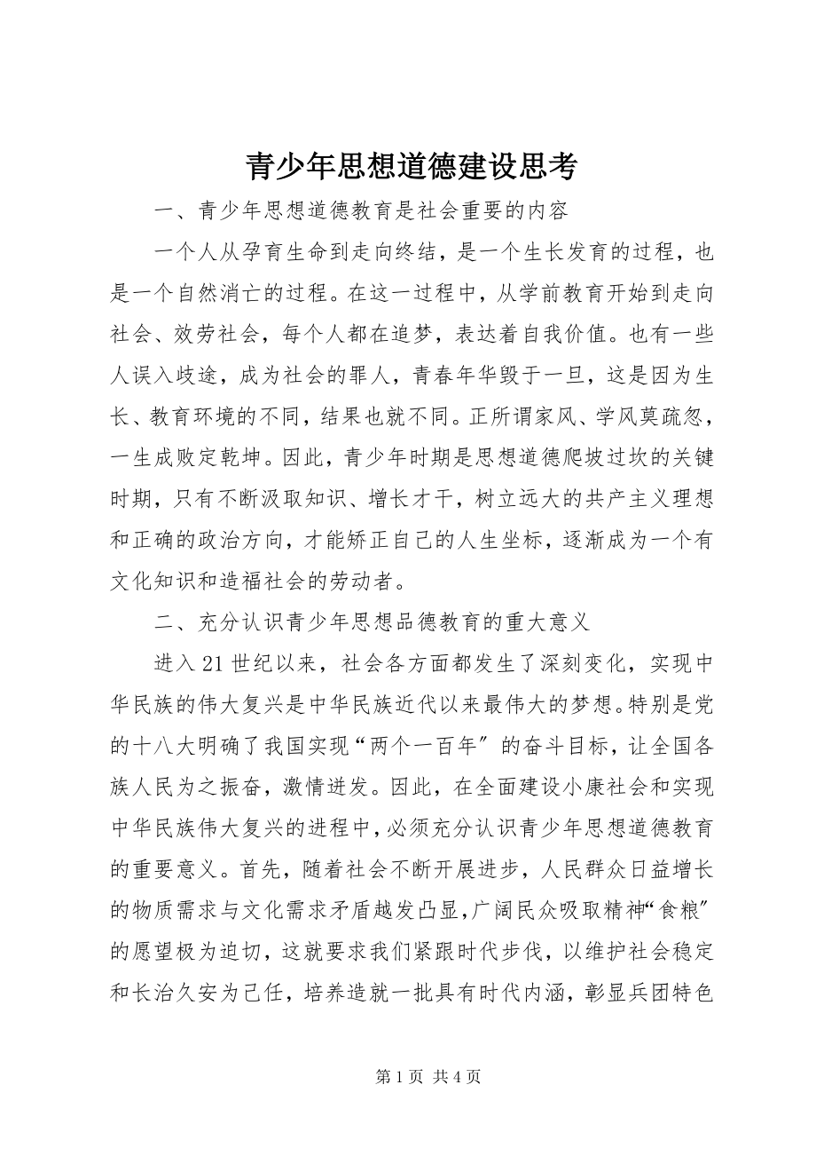 2023年青少年思想道德建设思考.docx_第1页