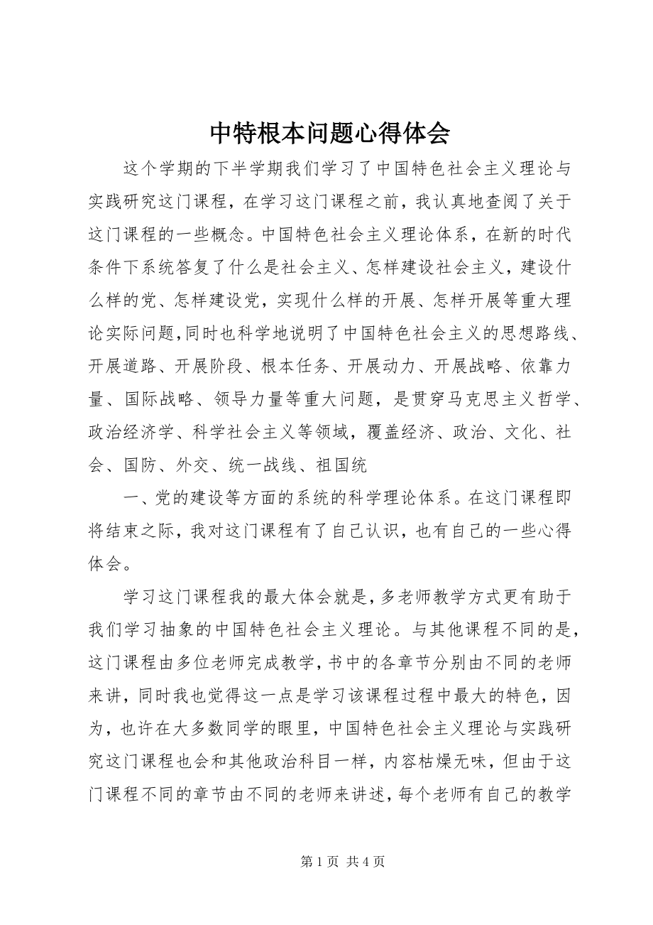 2023年中特基本问题心得体会.docx_第1页