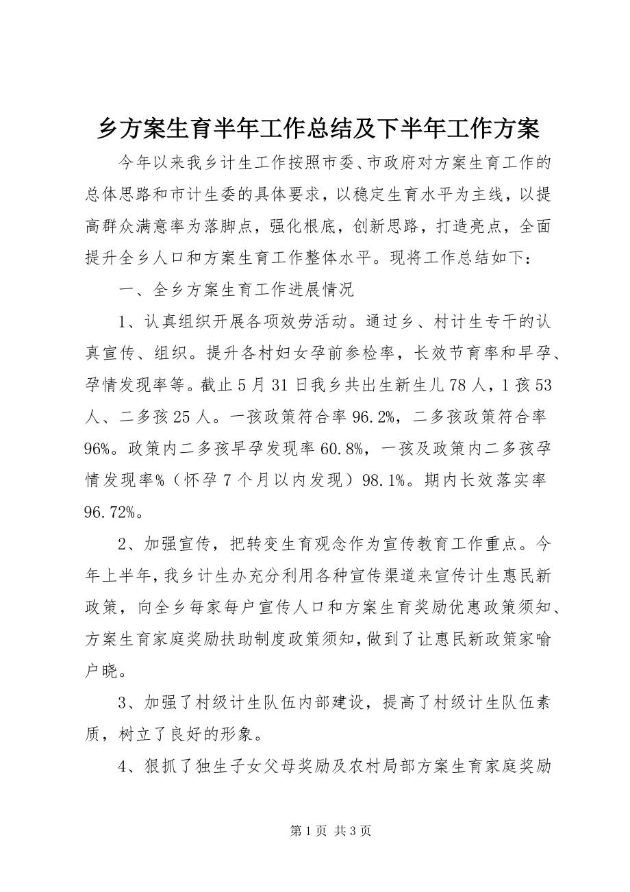 2023年乡计划生育半年工作总结及下半年工作计划.docx_第1页