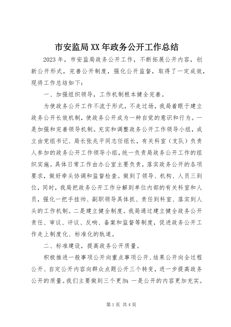 2023年市安监局政务公开工作总结2.docx_第1页