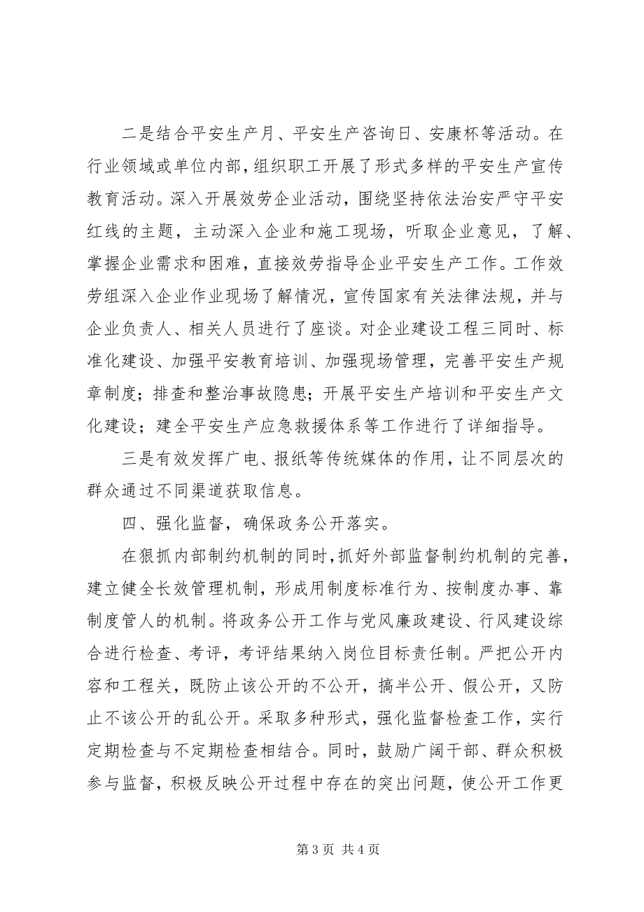 2023年市安监局政务公开工作总结2.docx_第3页