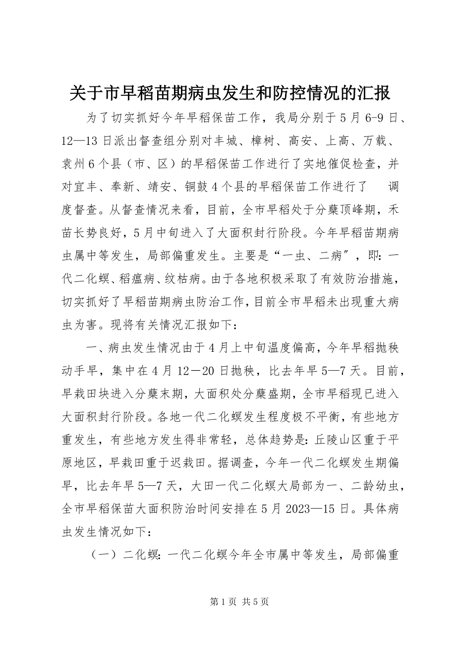 2023年市早稻苗期病虫发生和防控情况的汇报.docx_第1页