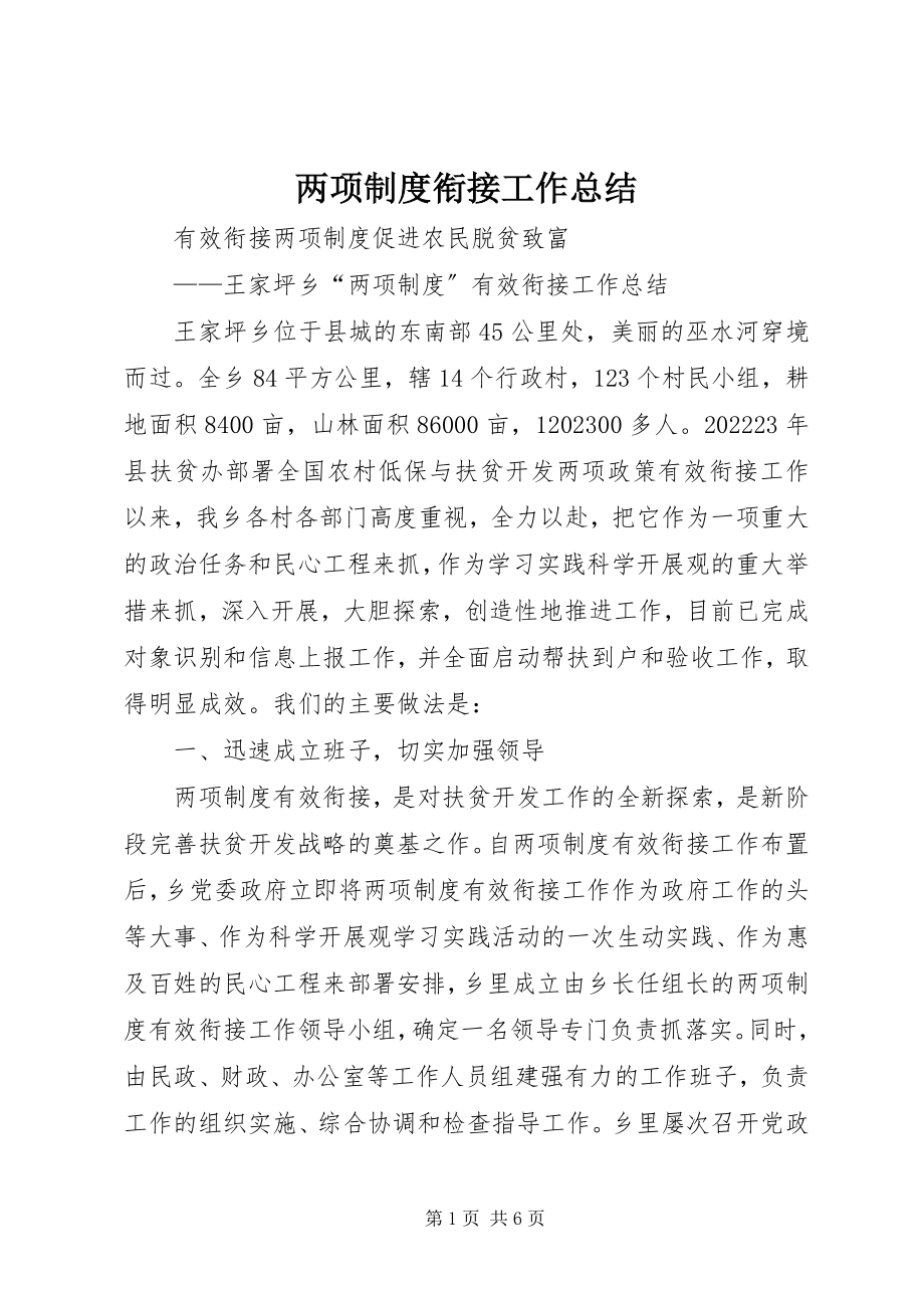 2023年两项制度衔接工作总结.docx_第1页