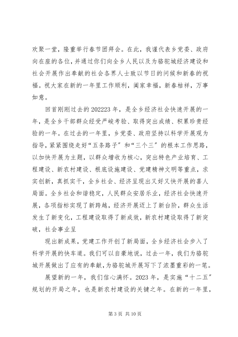 2023年在春节团拜会上的致辞4.docx_第3页