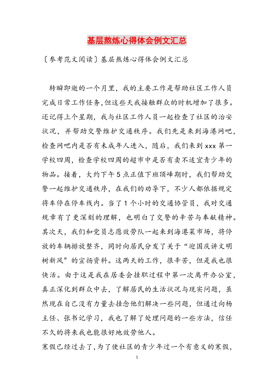 2023年基层锻炼心得体会例文汇总.doc_第1页