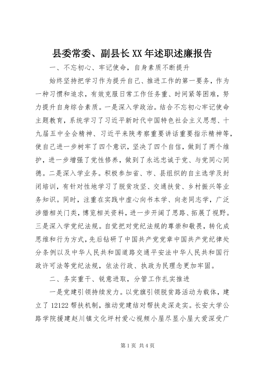 2023年县委常委副县长述职述廉报告.docx_第1页