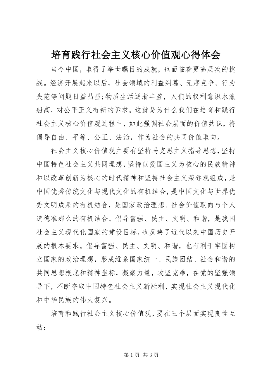 2023年培育践行社会主义核心价值观心得体会.docx_第1页