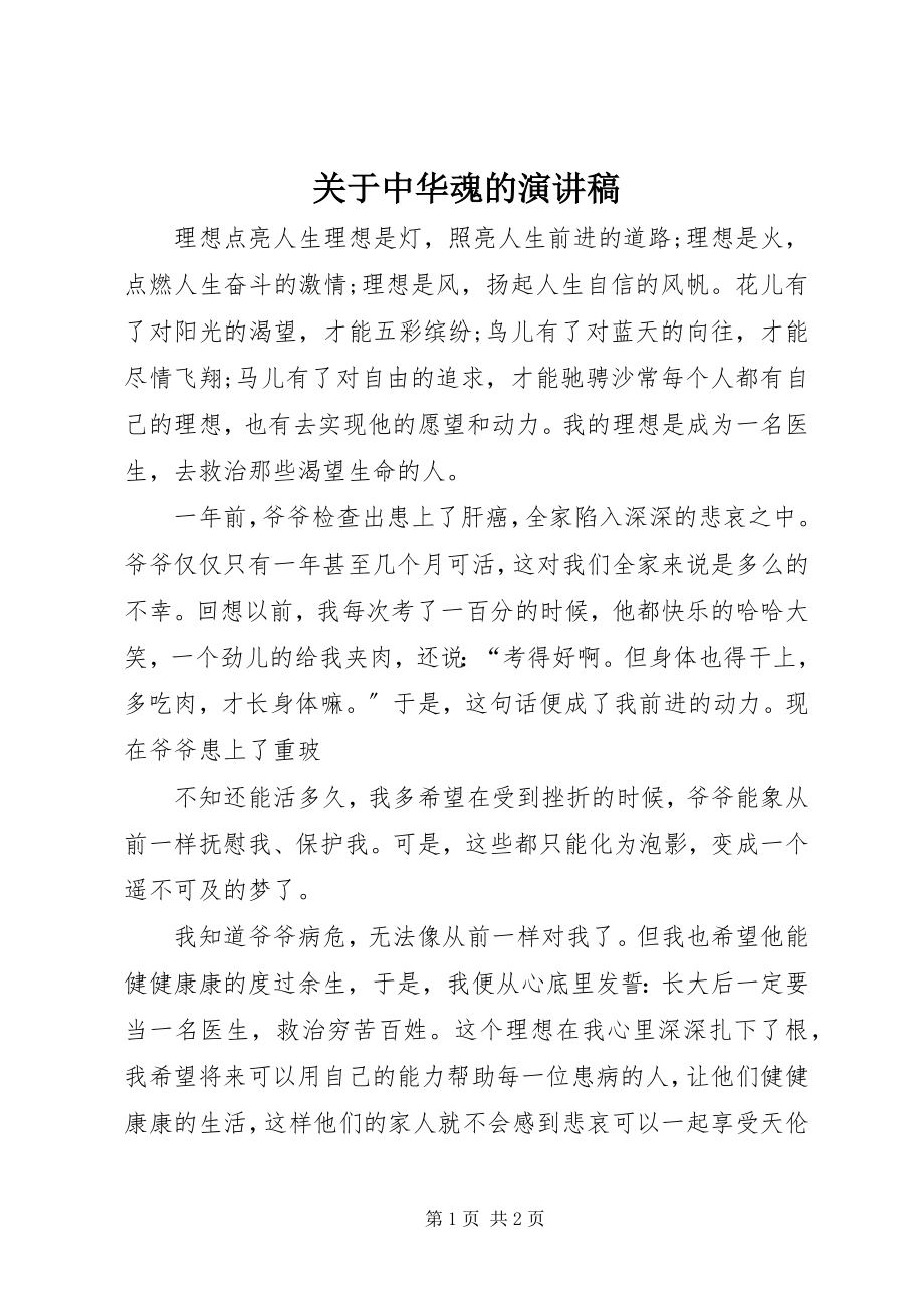 2023年中华魂的演讲稿.docx_第1页