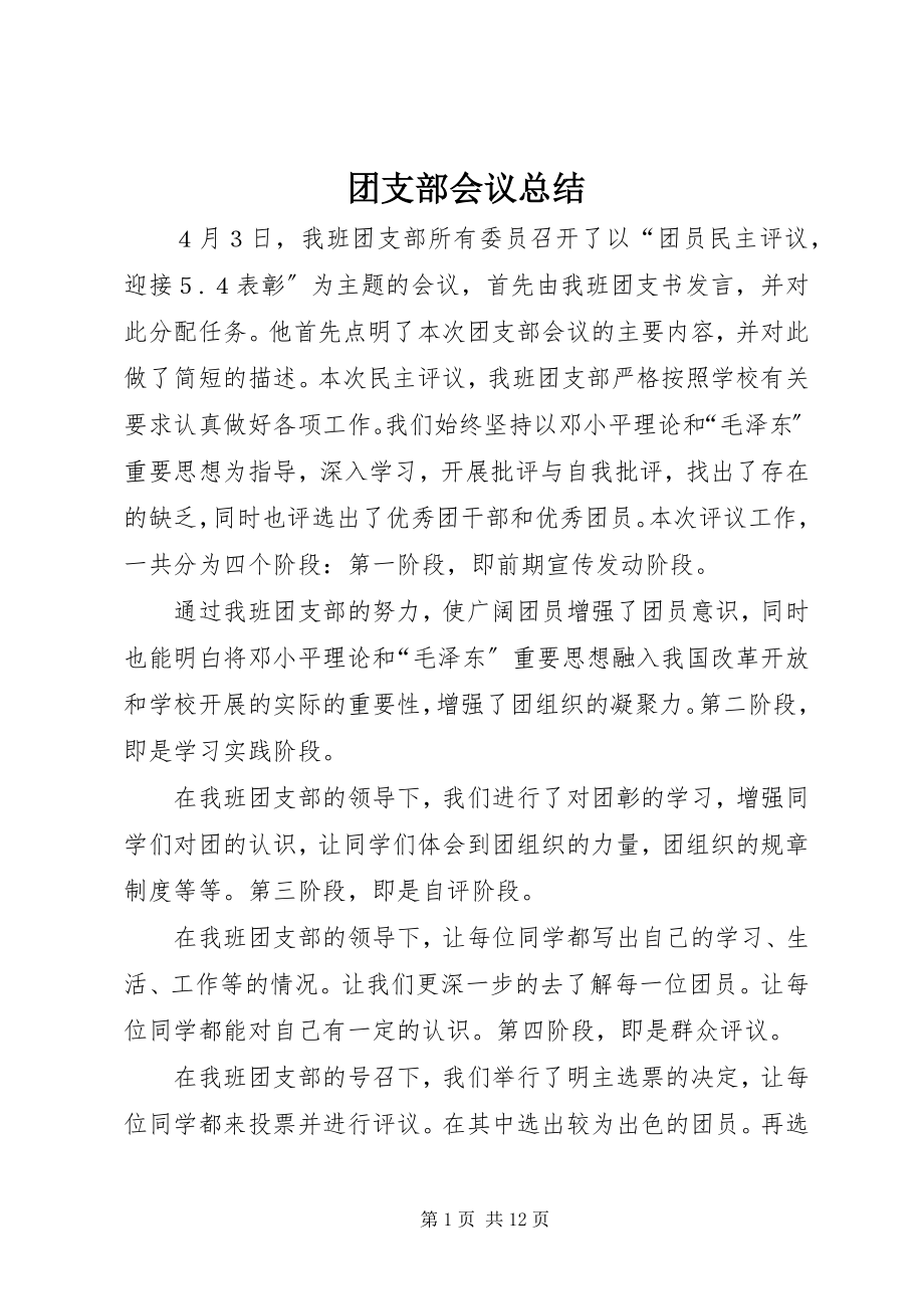 2023年团支部会议总结.docx_第1页