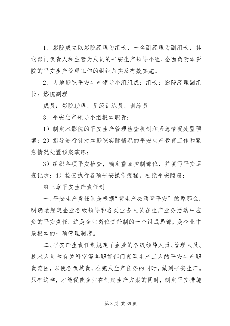 2023年影城安全生产管理制度.docx_第3页